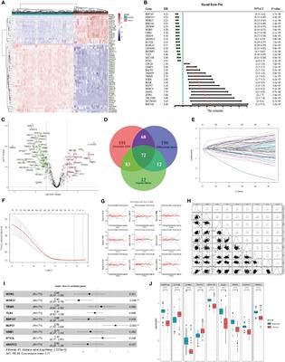 An E3 ubiquitin-proteasome gene signature for predicting prognosis in patients with pancreatic cancer